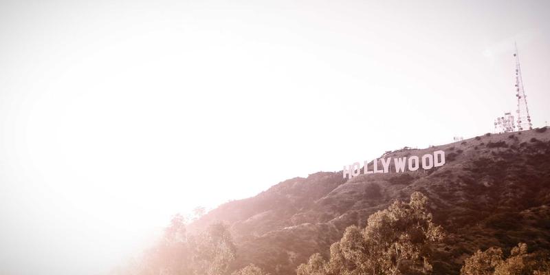 从包装箱到生态家园:揭秘雷龙箱造景设计如何用纸箱打造原生栖息地