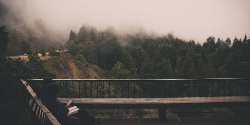 从物流包装到溪流秘境:雷龙箱造浪泵摆放与流量调节的流体力学艺术