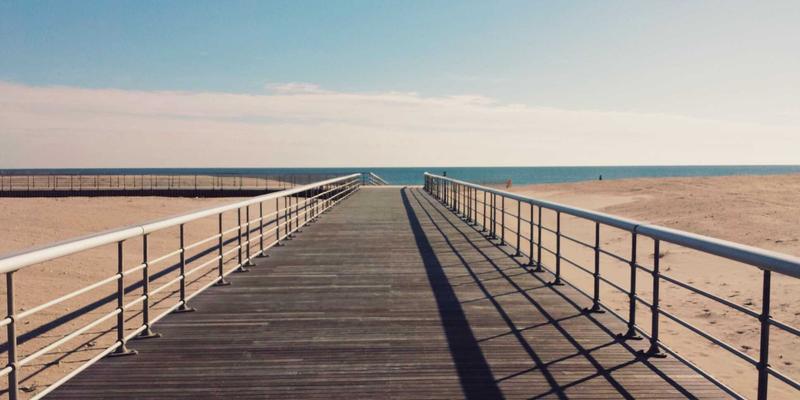 从物流包装到生态家园:巧用塑料箱与自然素材,打造雷龙鱼东南亚溪流仿生秘境