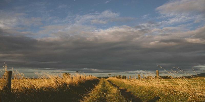 告别白色污染：环保包装箱如何重塑物流包装的未来格局