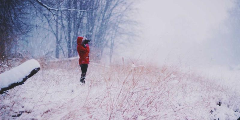 雷龙箱噪音终结者:从定制包装到静音改造,打造沉浸式观赏体验