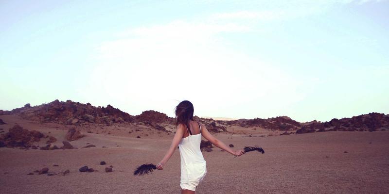 雷龙箱水质管理核心:pH值与硬度控制的科学指南,兼谈包装选择(纸箱/木箱)对运输的影响