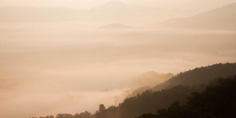 雷龙箱灯光系统全解析:从LED到全光谱,如何用智能光照重塑植物生长周期