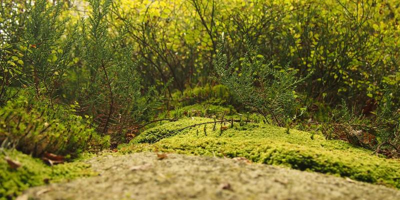 雷龙箱电力安全布设全攻略:从定制包装到应急方案,守护您的用电安全