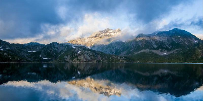雷龙箱空间布局艺术:巧用沉木、岩石与植物划分领地,打造和谐水族生态