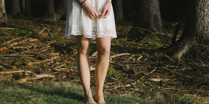 雷龙箱繁殖空间全攻略:从配对隔离到育苗周转的阶段性环境搭建