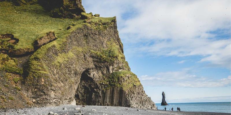雷龙箱背景板选择与安装:从3D立体到纯色背景,如何用“包装”艺术影响鱼类行为?