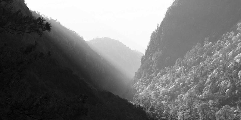 雷龙箱藻类防治全攻略:定制包装箱中的生态平衡艺术