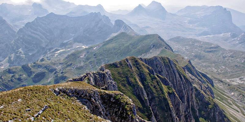 雷龙箱过滤系统终极指南：上滤、底滤与滤桶，谁是你的木箱/纸箱最佳搭档？