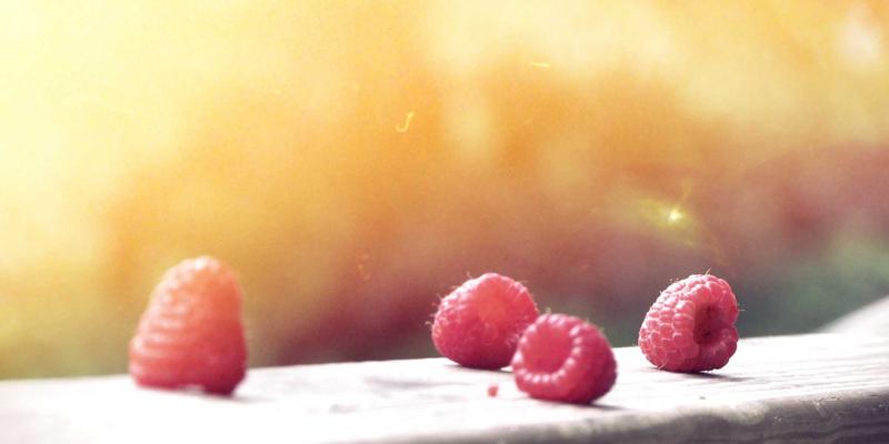 雷龙跳缸终结指南:从箱盖设计到水位管理的全方位防护