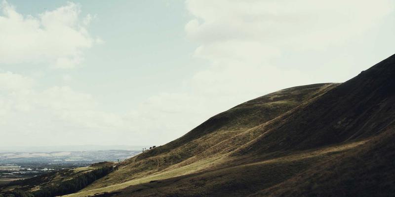 雷龙运输全攻略:如何根据品种与成体大小选择最佳包装箱